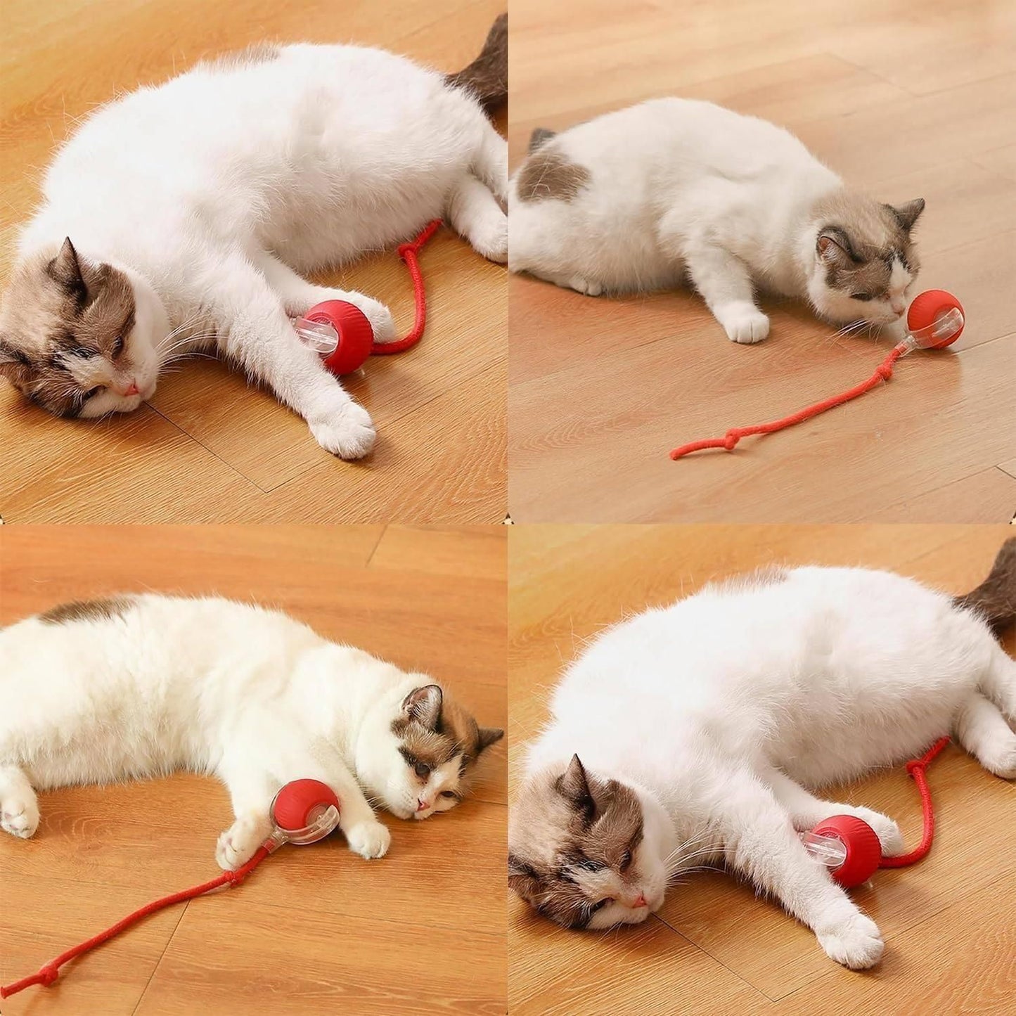 Rolling Interactive Pet Toy Ball