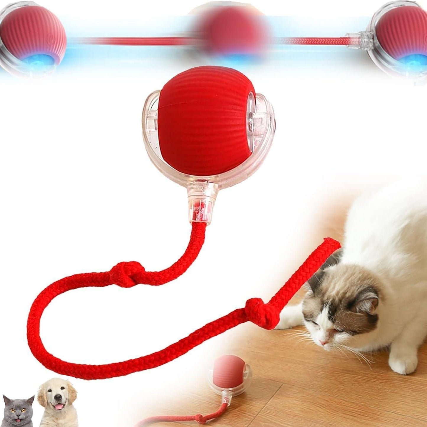 Rolling Interactive Pet Toy Ball