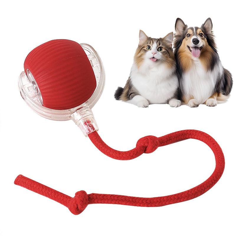 Rolling Interactive Pet Toy Ball