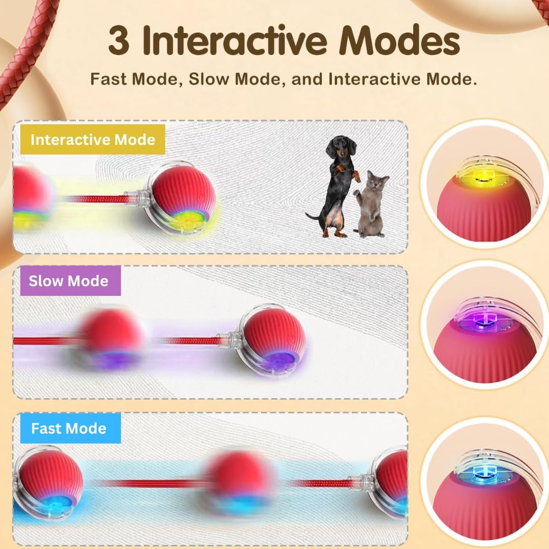 Rolling Interactive Pet Toy Ball