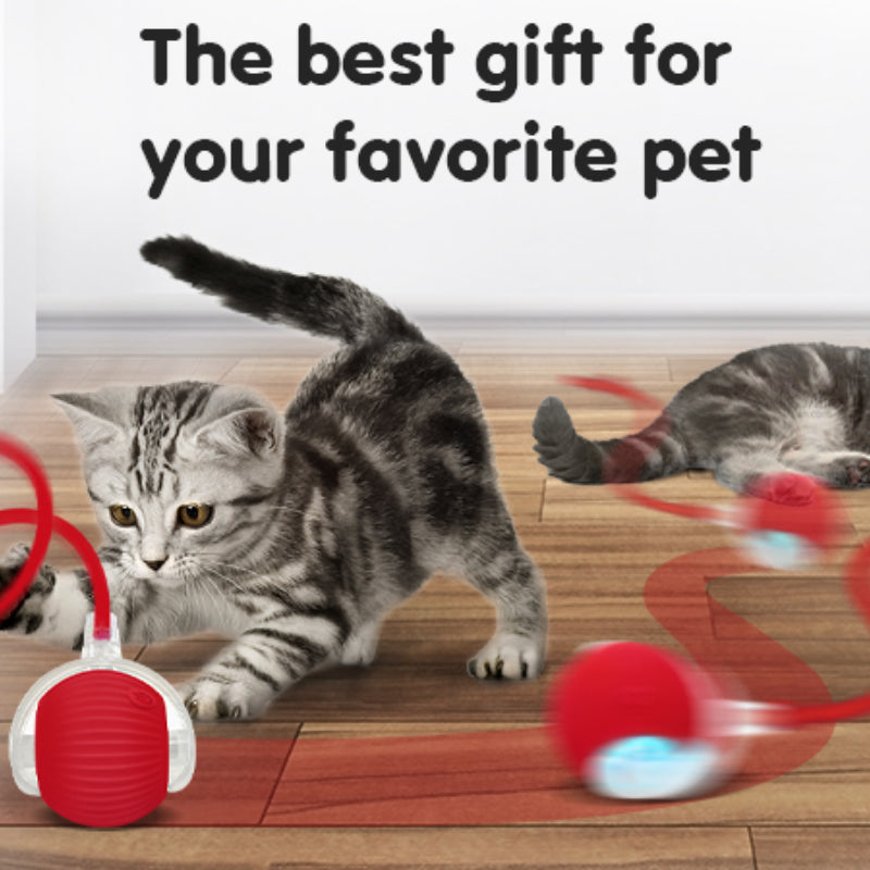 Rolling Interactive Pet Toy Ball