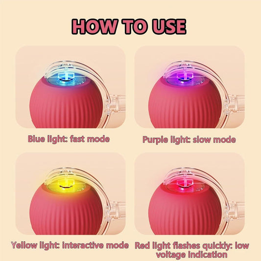 Rolling Interactive Pet Toy Ball
